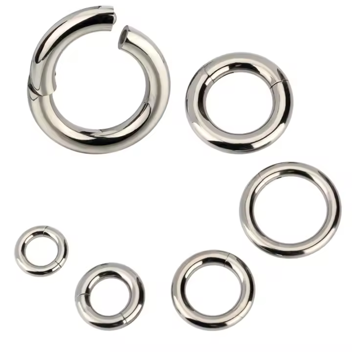Pendientes de aro de titanio ASTM G23, Piercing corporal Labret sin costuras, segmento con bisagras, anillos de Nariz de gran tamaño, 10G-6G, 2,5mm-4mm, 1 unidad - 1