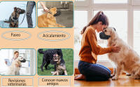 bozal para perro mediano