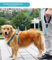 Correa Para Perros Con Reflejo Y Manija Cómoda De Nylon Adecuada Para Pequeños Medianos Y Grandes Cachorros Hasta 300cm - details 3