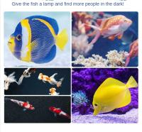Luz LED Multicolor con Control remoto para pecera, burbuja impermeable, iluminación de aireación, luz de buceo para acuario, accesorios para acuario - details 0