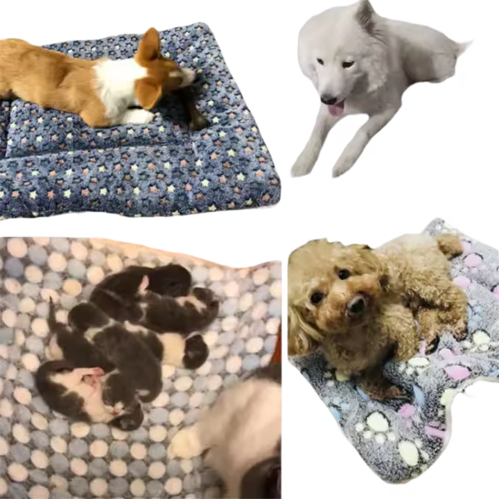 Alfombra De Mascota Suave Para Gatos Y Perros Alfombrilla De Dormir Corta De Peluche Cálida Almohadilla Para Gatos Recién Nacidos Accesorios Para Mascotas - 1