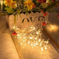 Luz de Bola de Cristal Cálida Blanca Luz Colgante de Hada para Bodas, Fiestas, Aniversario, Día de San Valentín - details 1