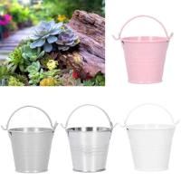 Mini hierro ETA plantas jugosas, pequeños cubos de metal para decoración interior y exterior, 10 unidades - details 0