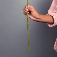 Gran Árbol de Figo Falsito Plantas Tropicales de Goma Artificial Hojas de Otoño para Decoración de Jardín para el Hogar - details 14