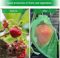 Control de plagas protector de frutas y verduras de uva, fresa, bolsas a prueba de pájaros, fundas de malla, 25/50 UDS. - details 12