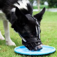 Bozal ajustable para perro, cubierta antimordedura con tira reflectante, puede beber agua, plástico transpirable - details 1