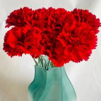 Claveles rojos artificiales de tacto Real, manualidades DIY, 54cm, flor de clavel de simulación, plantas falsas hechas a mano realistas, aniversario - details 4