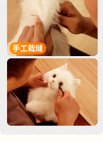 Diferentes alumnos gato blanco Mi mochila simulación mochila bolsa muñeca muñeca juguete de peluche regalo de cumpleaños ragdoll gato - details 13