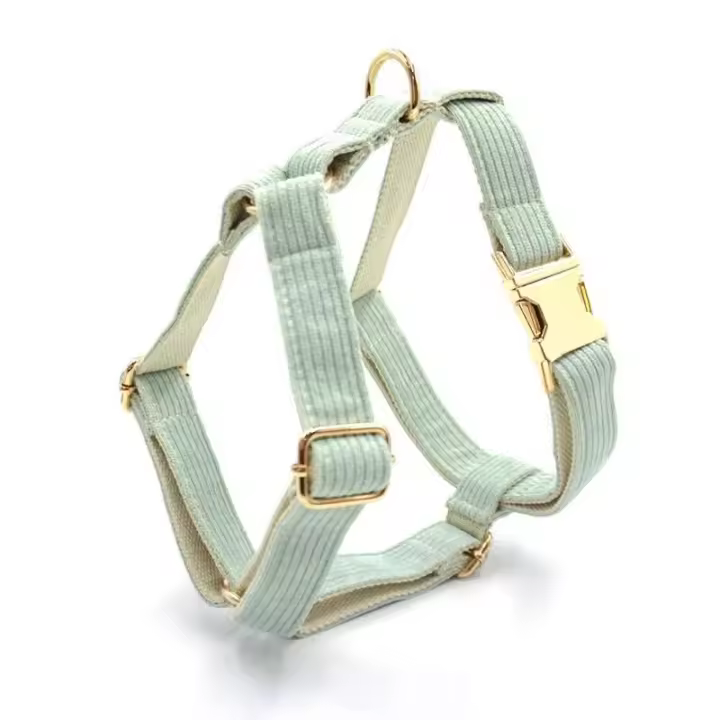 Collar Pana Verde Mint, personalizado, antipérdida, para Perros Pequeños, medianos y grandes, elegante, Conjunto de Correa - 1