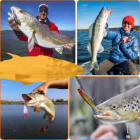 Señuelos de bandas blandas para lucioperca, conjunto de accesorios, wobblers para pesca - details 5