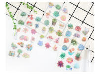 Pegatinas de Scrapbooking Kawaii de Plantas Succulentas en PVC Transparente 6 Hojas/Paquete Decoración para Diario y Papelería de Marca nbyinto - details 9