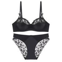 Conjunto De Sujetador Y Bragas Para Mujer En Talla Grande Con Borde De Encaje Brillante Sexy Muy Ajustado Con Anillo De Acero Suave Soporte Para Pechos Grandes - details 2