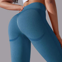 Pantalones Deportivos Sin Costuras para Mujeres Cintura Alta Yoga, Levantamiento de Glúteos, Carreras Ropa de Gimnasio - details 37