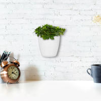 7 piezas de planta ETA, METEOS circular con contenedor, riego automático de interior de plástico - details 6