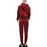 Conjunto de ropa de mujer de 3 piezas, suéter con capucha con forro polar, camiseta sin mangas y pantalones deportivos - details 20