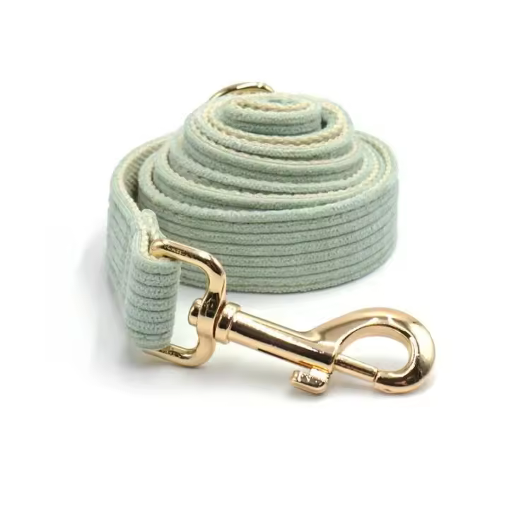 Collar Pana Verde Mint, personalizado, antipérdida, para Perros Pequeños, medianos y grandes, elegante, Conjunto de Correa - 1