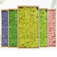 Plantas verdes artificiales, hierba de musgo, mini campo, manualidades DIY, hierba inmortal falsa para decoración de jardín, hogar y hotel, - details 7