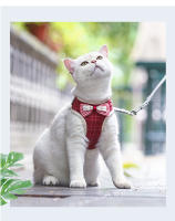 Conjunto de arnés y correa con lazo para gato, correa de plomo ajustable para cachorro, chaleco de malla de nailon, Collar para gatito, accesorios para gato - details 10