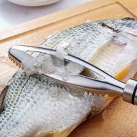Herramientas para matar peces, cepillado de escamas de pescado plateado de alta calidad, escalador de pescado de acero inoxidable, artefacto de eliminación de escamas de pescado domésticas - details 4