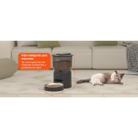 comedero gato automatico