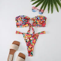 2024 New Split Bikini Printed Breasted Sexy Spicy Slim G-string Two Piece Swimwear Tight Beach Holiday Travel Swimwear Women - details 26