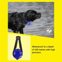 Luz de Noche para Perros Collar con Luz LED Recargable por USB Suministro de Seguridad para Mascotas Colgante de Reflejos Anti-Perdido - details 5