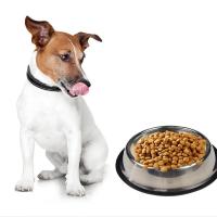 Tazón de Mascotas de Acero Inoxidable A Prueba de Resbalones, Anti-Alimentos, Disco de Agua para Perros Suministros para Mascotas - details 6