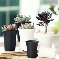 Lavabo de pelo antiguo para plantas suculentas, lavabo Vientiane, maceta de plástico redonda gruesa mate de cintura alta, jardinería en blanco y negro - details 1