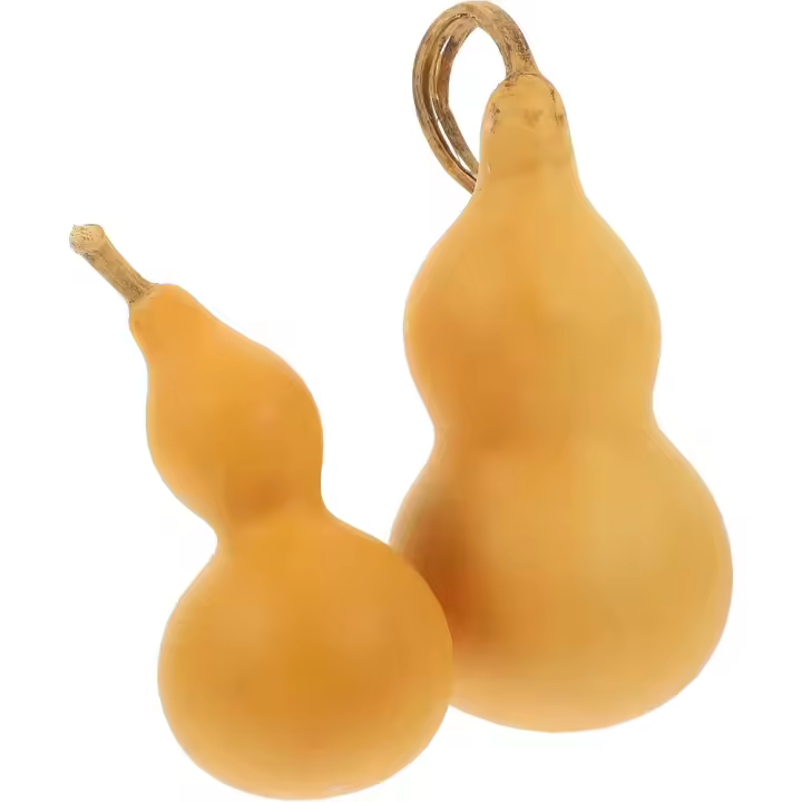 Adorno de Escritorio de Calabaza Seca Natural 2 Piezas Decoración para el Hogar Juegos para Niños - 1