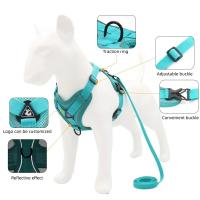 Conjunto de Arneses y Correa para Perros sin Tirones Chaleco Ajustable con Arneses para Mascotas Pequeñas y Medianas, Correa para el Pecho de Malla Reflectante - details 1