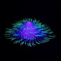 Acuario de silicona para paisajismo, plantas acuáticas artificiales coloridas con efecto fluorescente, árbol de Navidad suave, Coral, mesa - details 10