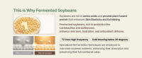 Soybean nutrition