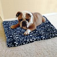 Cama de invierno para mascotas, manta cálida para dormir, funda para sofá, colchón para perros pequeños, Chihuahua, Bulldog - details 19