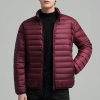 Chaqueta ligera de plumón de pato para hombre, abrigo informal de marca a la moda, relleno de plumón de pato blanco, invierno, 2024, nuevo, 90% - details 1