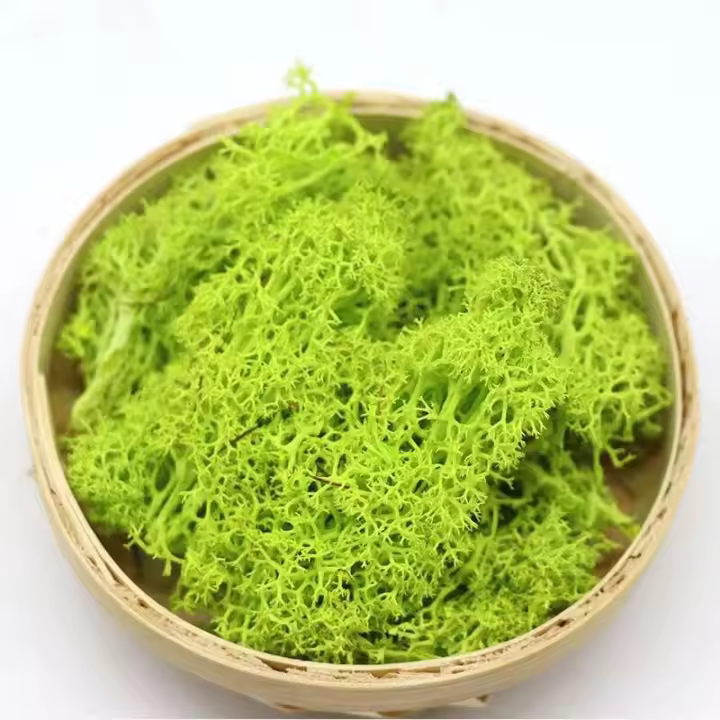 DILICORE Huerto Artificial Césped Falsa, Musgo Eterno, Materiales de Flores 200/500g Jardín Town - 1