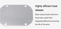 LED COB Hight Power 50W AC 220V Red Blue Green Lamp Chip Smart IC Fit For DIY Driverless Integrated Driver For Flood Light - details 2