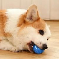 Juguete de Bola Móvil para Perros Interactivo Cachorro Inteligente USB - details 4
