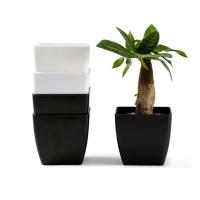 Sembradora de semillas, maceta de plástico para interior, contenedor para plantas, flor de jardín, maceta carnosa - details 1