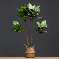 Decoración de Campo Verde Artificial de Alta Calidad 105cm, Ramas de Magnolia Falsas, Hojas de Goma Plástica, 2 Garfos - details 5