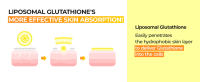 No.5 Toner