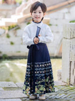 Conjunto de Falda Hanfu para Niñas Otoño 2025 Traje de Estilo Chino Antiguo para Actuaciones de Recitación Zapatos y Ropa - details 23