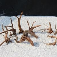 Decoración de Árbol de Tronco Natural Adorno de Acuario de Peces y Reptiles - details 8