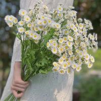 Nuevo Ramo de flores artificiales pequeñas y frescas, 30 cabezas de flores de seda, estilo Ins, - details 4