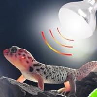 Bombilla de Calor UVB UVA AIICIOO Promueve la Sintesis de D3 para Reptiles y Amfibianos - details 7