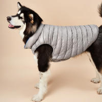 Abrigo de Perro para Tiempos Fríos Chaqueta de Vento a Cierre de Botón - details 5