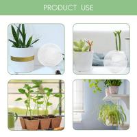 Platillos transparentes para plantas de interior y exterior, bandejas de goteo para maceta, jardín, 30cm, 12 pulgadas, 10 paquetes - details 3