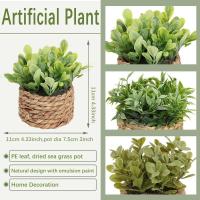 Plantas artificiales de Eulyptus, material de pila de hierba tejida de 11cm, decoración del hogar - details 19