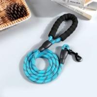 Edipets, Correa para Perros, Cuerda para Adiestramiento de Mascotas Color (Azul)