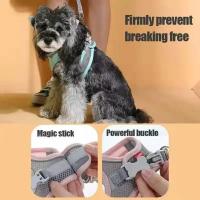 Accesorios para Mascotas Collar Seguro para Perros Pequeños Chaleco Cuerda para el Cuello - details 1