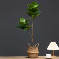 Decoración de Campo Verde Artificial de Alta Calidad 105cm, Ramas de Magnolia Falsas, Hojas de Goma Plástica, 2 Garfos - details 2